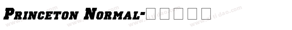 Princeton Normal字体转换